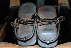 �ٌc�̓S����